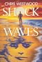 Shock Waves