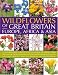 Wildflowers of Great Britain, Europe, Africa and Asia: A Comprehensive Encyclopedia and Guide to the Plant Diversity of These Continents, with Identification ... Than 675 Maps, Illustrations and Photographs
