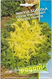 Amazon / Hirt's: Indivia Scarola - Endive Pancalieri Rose Seeds - 1 mg
