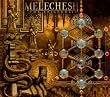 The Epigenesis