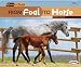 Books : From Foal to Horse (Start to Finish, Second)