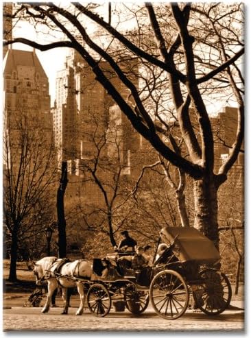 Carriage Ride in Central Park - Set of 3 New York City Photo Souvenir Refrigerator Magnet