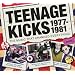Teenage Kicks 1977-1981 The Music That Changed Everything