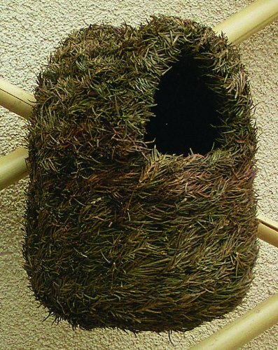 Tierra-Derco International N7182 8-Inch Hut Brown