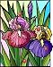Red, Yellow, Blue and Purple Dutch Iris Flowers with Ladybugs - Etched Vinyl Stained Glass Film, Sta