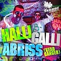 Halli Galli Abriss (Headbanger)