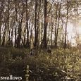 Me with Trees Towering