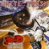3-D Monkeys in Space