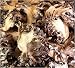 Dried Maitake Mushrooms 16 oz.