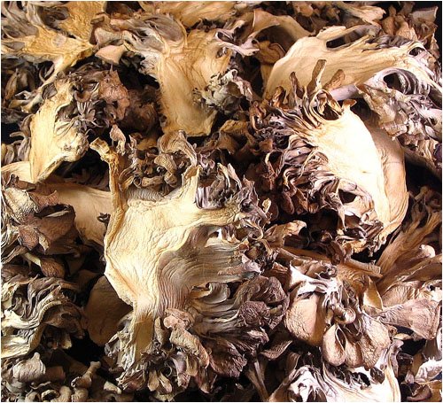 Childrens Toyshop  Gourmet Food : Dried Maitake Mushrooms 4 oz.