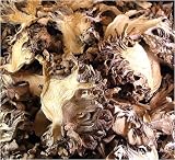 Maitake Mushrooms