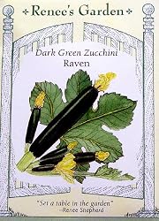 Zucchini Dark Green Raven Seeds