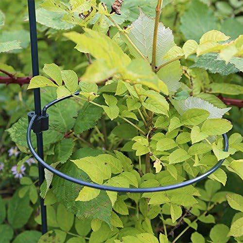 Botanico Garden Green Half Ring Metal Support For Flowers&amp;Plants -45cm