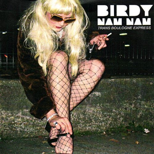 Birdy Nam Nam Picture 2