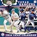 Texas Rangers 2010 12X12 TEAM WALL CALENDAR