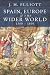 Spain, Europe and the Wider World 1500-1800