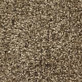 2' x 3' Ensign Hand-woven contemporary shag Rug
