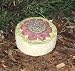 Flower Garden Bon Bon by Connie Eden