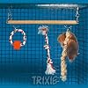 Suspension Bridge Toy for hamsters Mice Pet Cage