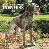German Wirehaired Pointers 2010 Square Wall