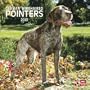 German Wirehaired Pointers 2010 Square Wall