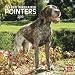 German Wirehaired Pointers 2010 Square Wall