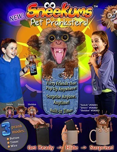 SNEEKUMS Pet Pranksters! Get Ready, Hide, and Surprise! (Set of 12) Makes a Great Stocking Stuffer! by International Connections