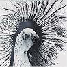 Bild des Albums von Joseph Arthur