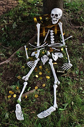 Joyin Toy 136 PCs Halloween Decorations including 28 PCs Halloween Bones 100 Pirate Coins and spider webs