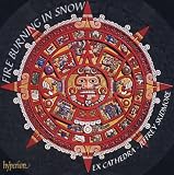 Fire Burning in Snow [Hybrid SACD]