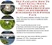 Book The Fantastic How To Earn Extra Money, Inner Game and Godfather Principles for Car Accessories Businesses 3 CD Power Pack