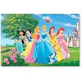 Produkt-Bild: Empire 20161 Disney Princess - Springtime, Poster ca. 91,5 x 61 cm