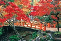 1000ピース 秋に染まる紅葉台 71-361