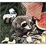 Folkmanis Baby Raccoon Puppet