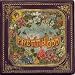 Pretty. Odd