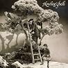 Image of album by Howling Bells
