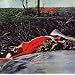 Best albums of 1972 (pt.3)...