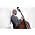 Vignette de Christian McBride