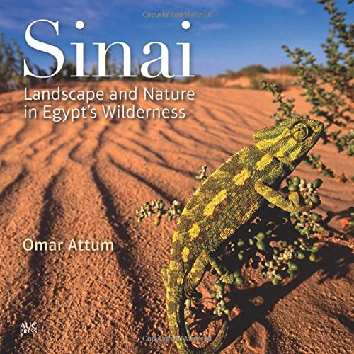 Sinai: Landscape and Nature in Egypt's Wilderness