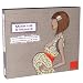Klassische Klavier-CDs