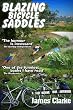 Blazing Bicycle Saddles