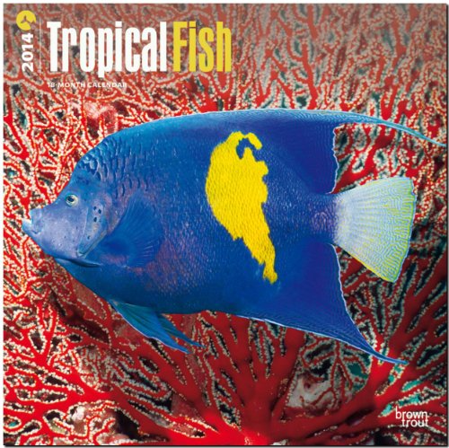Tropical Fish Calendar