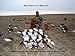 Sillosock Canada Feeder Windsock Goose Decoy 12pk