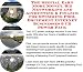 The Special Earn More Money, Biz Networking and Accounting & Finance for Swimming Pool Equipment Internet Businesses 3 CD Power Pack