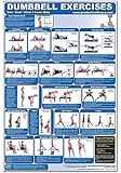 Dumbbell Exercises-Lower Body/Core/Chest & Back Laminated (Poster)