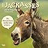 Jackasses 2016 Wall Calendar