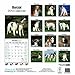 Borzoi 2014 Wall Calendar