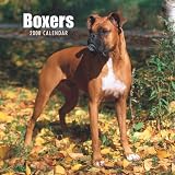 Boxers (International) 2008 Square Wall