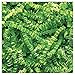 JAM PAPER Crinkle Cut Shred Tissue Paper - 2 oz - Lime Green - Sold Individually