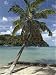 Jigsaw of St. Lucia - Azure setting, beach and palm tree at Marigot Bay. from Ardea